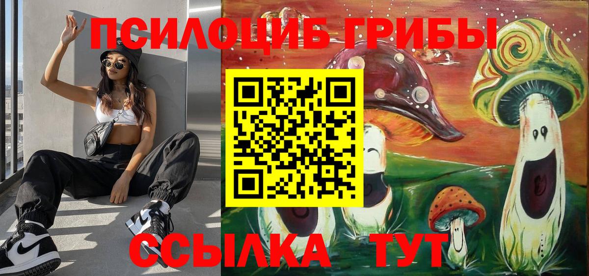 Галлюциногенные грибы Psilocybe  Вход с VPN  Салехард  Галлюциногенные грибы мицелий 